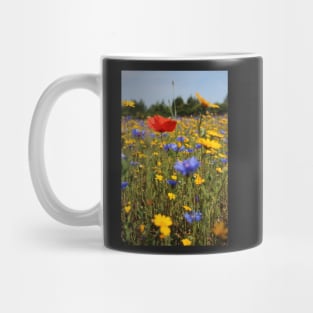 Wildflower meadow Mug